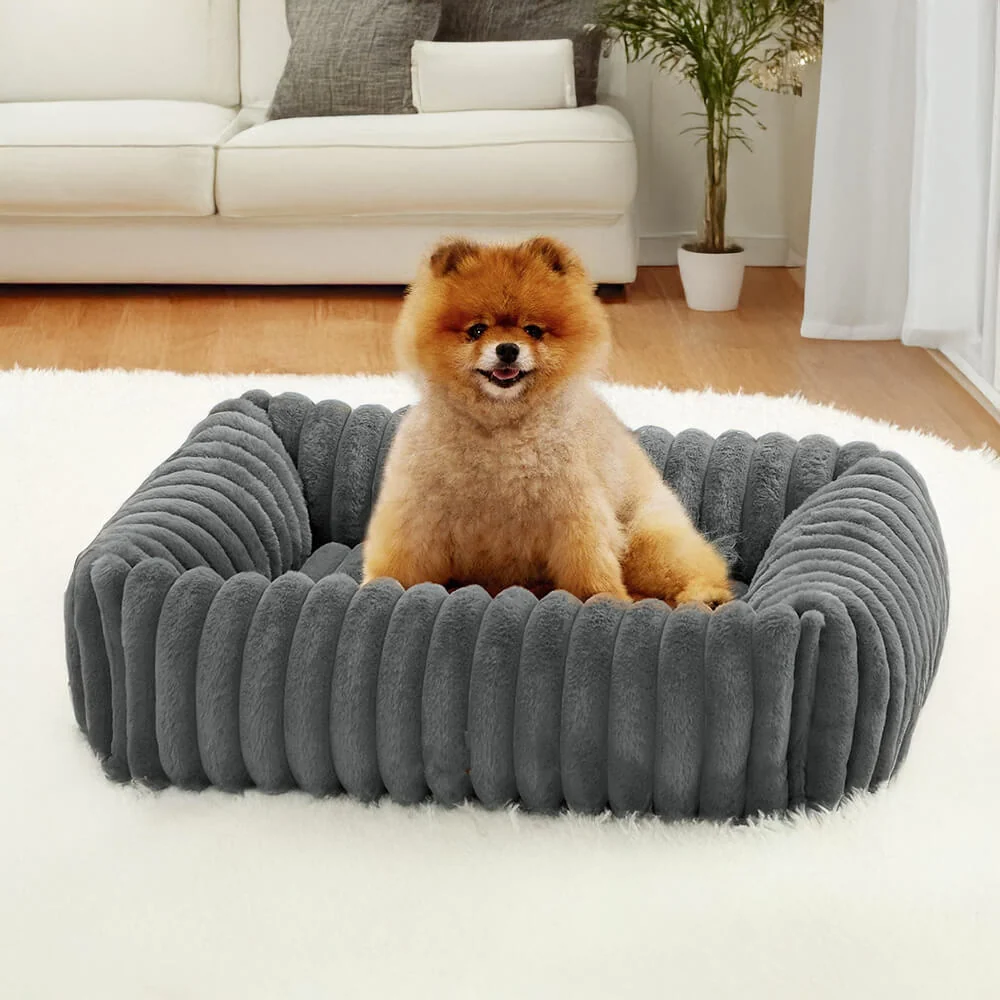 Orthopedic Dog Bed | Foam Base & Raised Edges | Small & Medium | 5 Colors | Hand Washable
