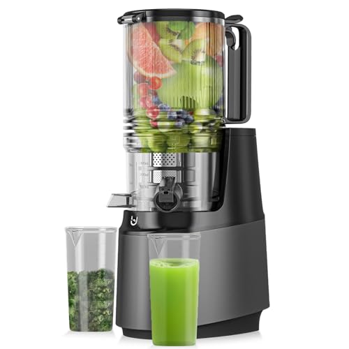 Cold Press Juicer Machines, 350W Masticating Juicer with 5.8