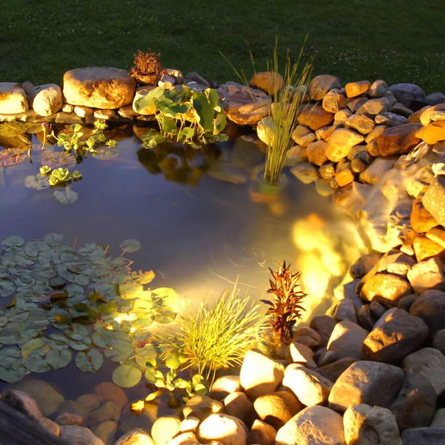 VENUS MANUFACTURING 2 Stück Niedervolt-LED-Teichlicht 135 Lumen 12 V Unterwasser tauchfähig 2900 K warmweiße Lichter Schwarz Wasserfall Pool Brunnen Licht für Haus Pool Garten Landschaft Beleuchtung