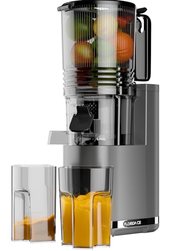 Cold Press Juicer, 6.5