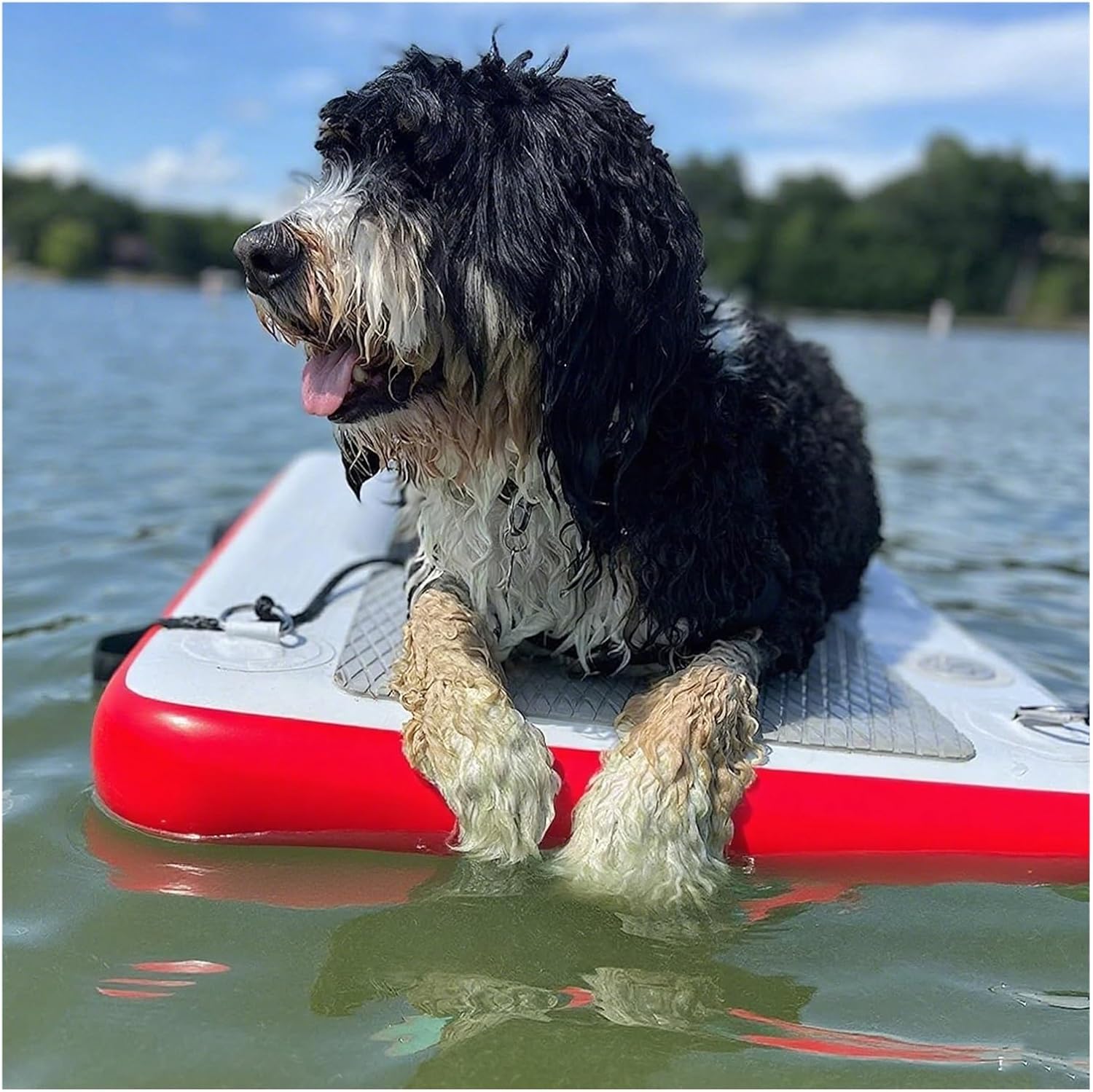 Rampa gonfiabile pieghevole per cani con pompa, borsa portaoggetti e kit di riparazione per piscina, parco acquatico e uso oceanico