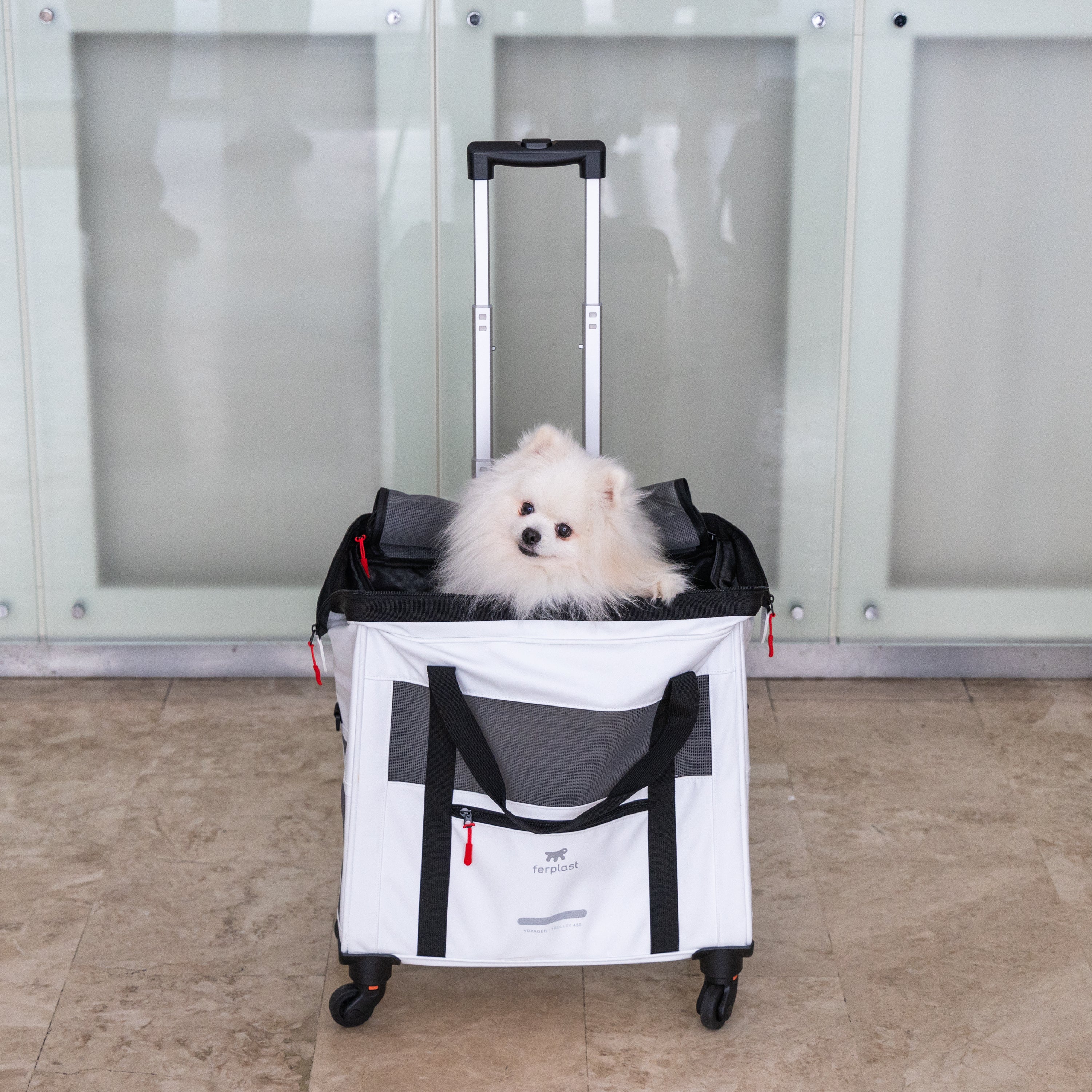 2025 Voyager Trolley di Ferplast – elegante e leggero trolley in similpelle per gatti e cani di piccola taglia fino a 15 kg. Con ruote, finestre in rete e cintura di sicurezza – perfetto per viaggi comodi.