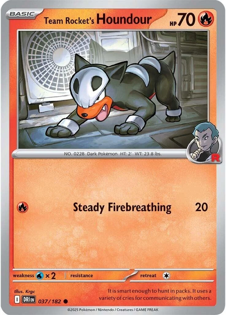 Team Rocket's Houndour (037/182) (DRI)