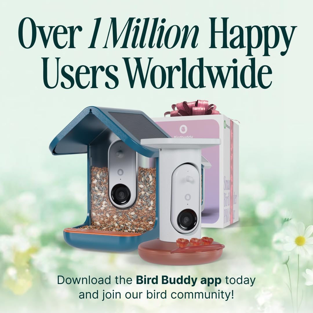 Birdbuddy PRO Solar Smart Bird Feeder with Camera - AI Bird Species Identification  5MP Photos  2K HD Video Live Stream Camera  Slow-Motion Video  2.6in Focus - Blue Solar