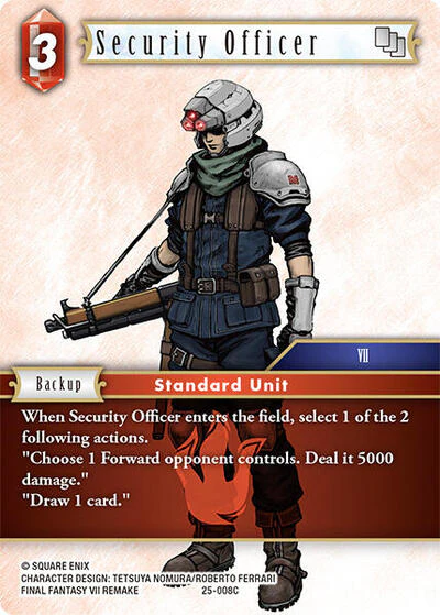 Security Officer - 25-008C