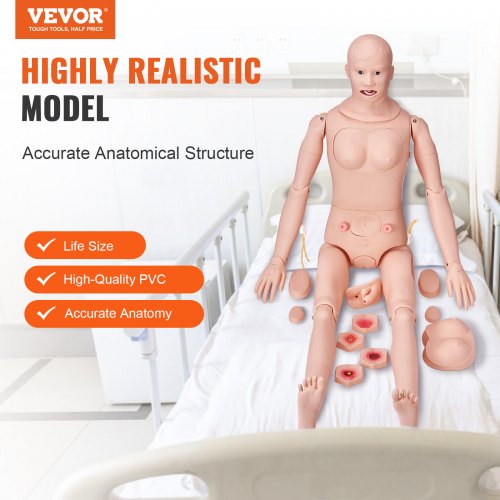 VEVOR Männliches/Weibliches Puppenmodell Anatomisches Krankenpflegetraining