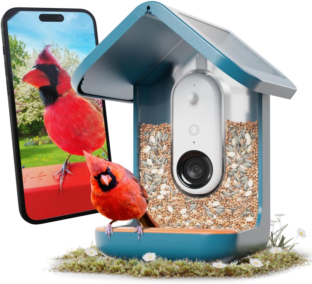 Birdbuddy PRO Solar Smart Bird Feeder with Camera - AI Bird Species Identification  5MP Photos  2K HD Video Live Stream Camera  Slow-Motion Video  2.6in Focus - Blue Solar