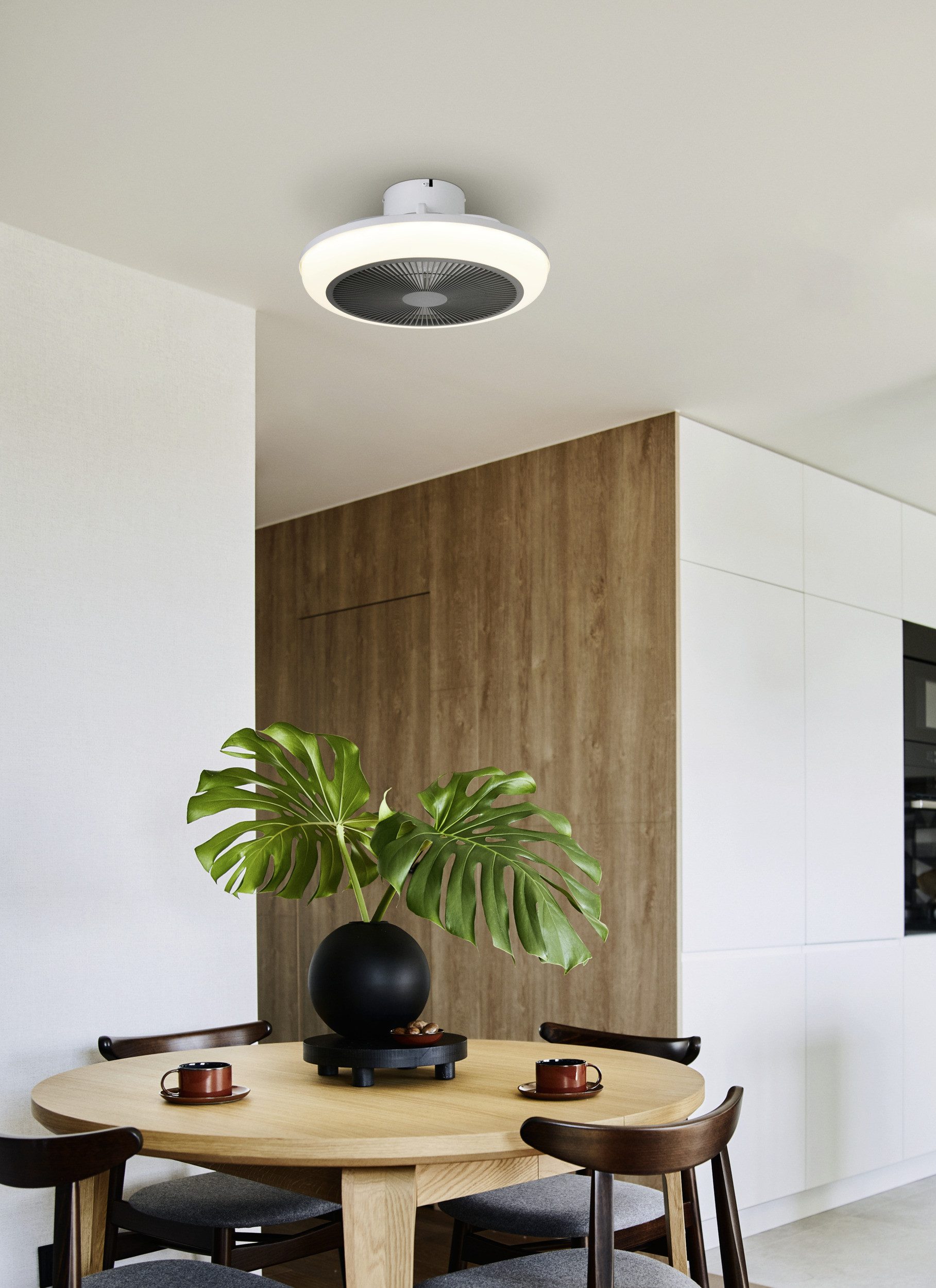 LED Deckenleuchte SAYULITA 1 Leuchte und Ventilator - ABS - LED - 4X5,2W - IP20
