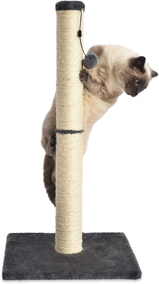 Tiragraffi per gatti da interno, standard, con giocattolo pendente, 80 cm, grigio