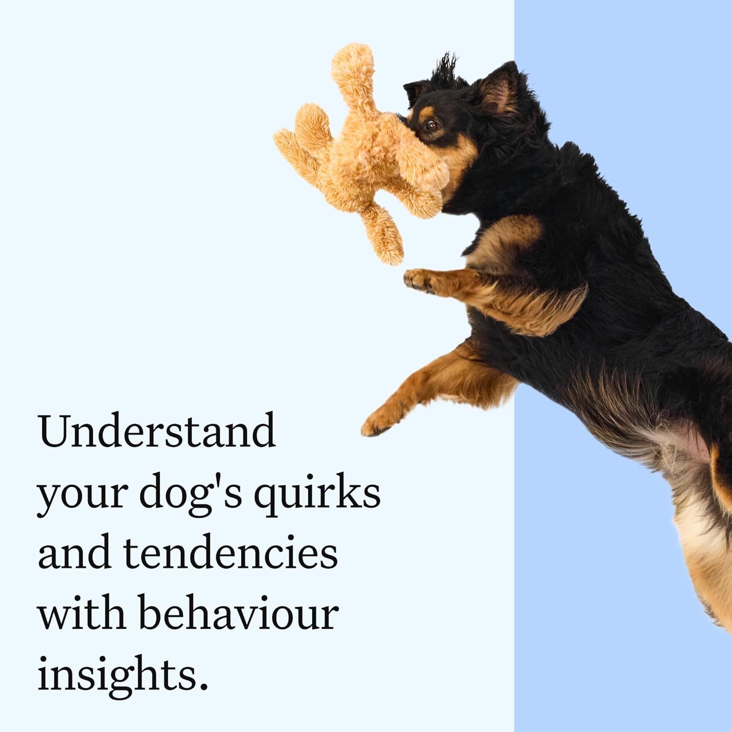 Wisdom Panel zur Feststellung von Hunderassen DNA-Test-Kit – przise Rassen-ID MDR1 Abstammung Verwandte