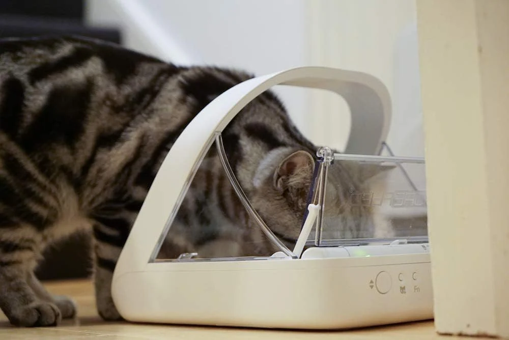 Sure Petcare SureFeed Microchip-voerautomaat voor huisdieren, met dichte dekselafdichting, compatibel met RFID-halsbandhanger, geschikt voor nat- en droogvoer, werkt op batterijen, wit
