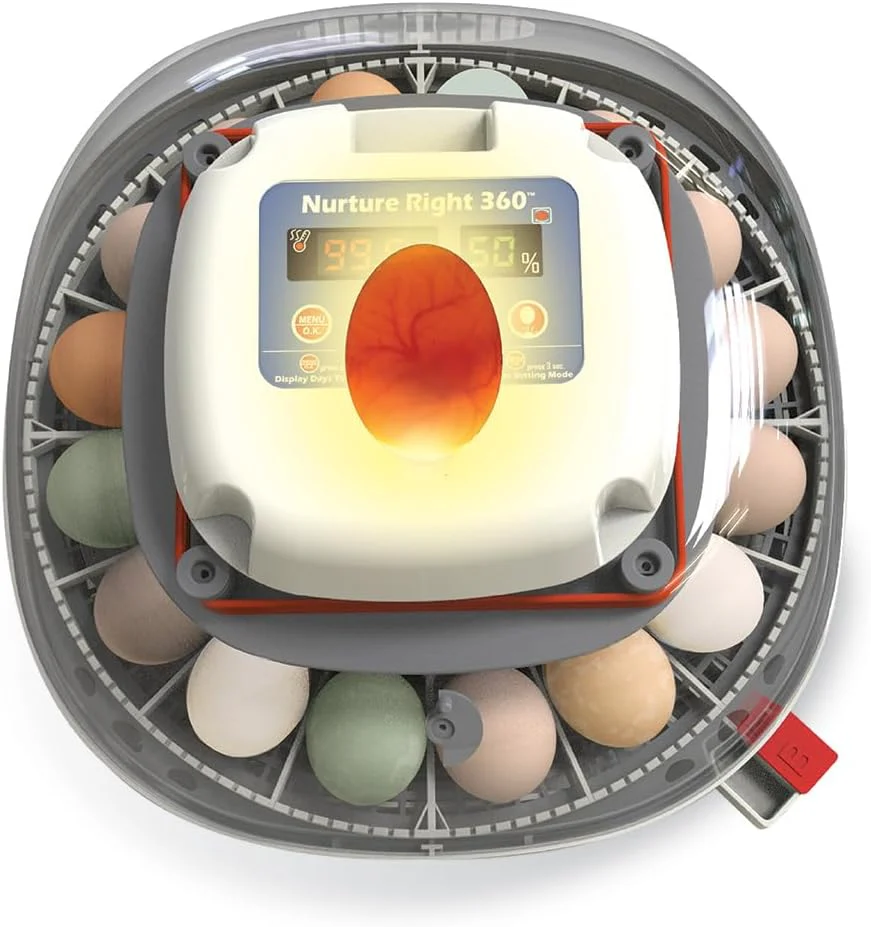 Egg Incubator for Hatching Chicks, Holds 12-22 Eggs, Automatic Turner with Temperature and Humidity Control, 360 Degree View with Clear Window, Incubator for Chickens