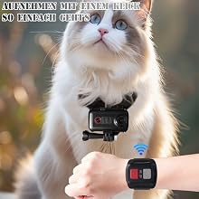 Telecamera collare per animali domestici 2K