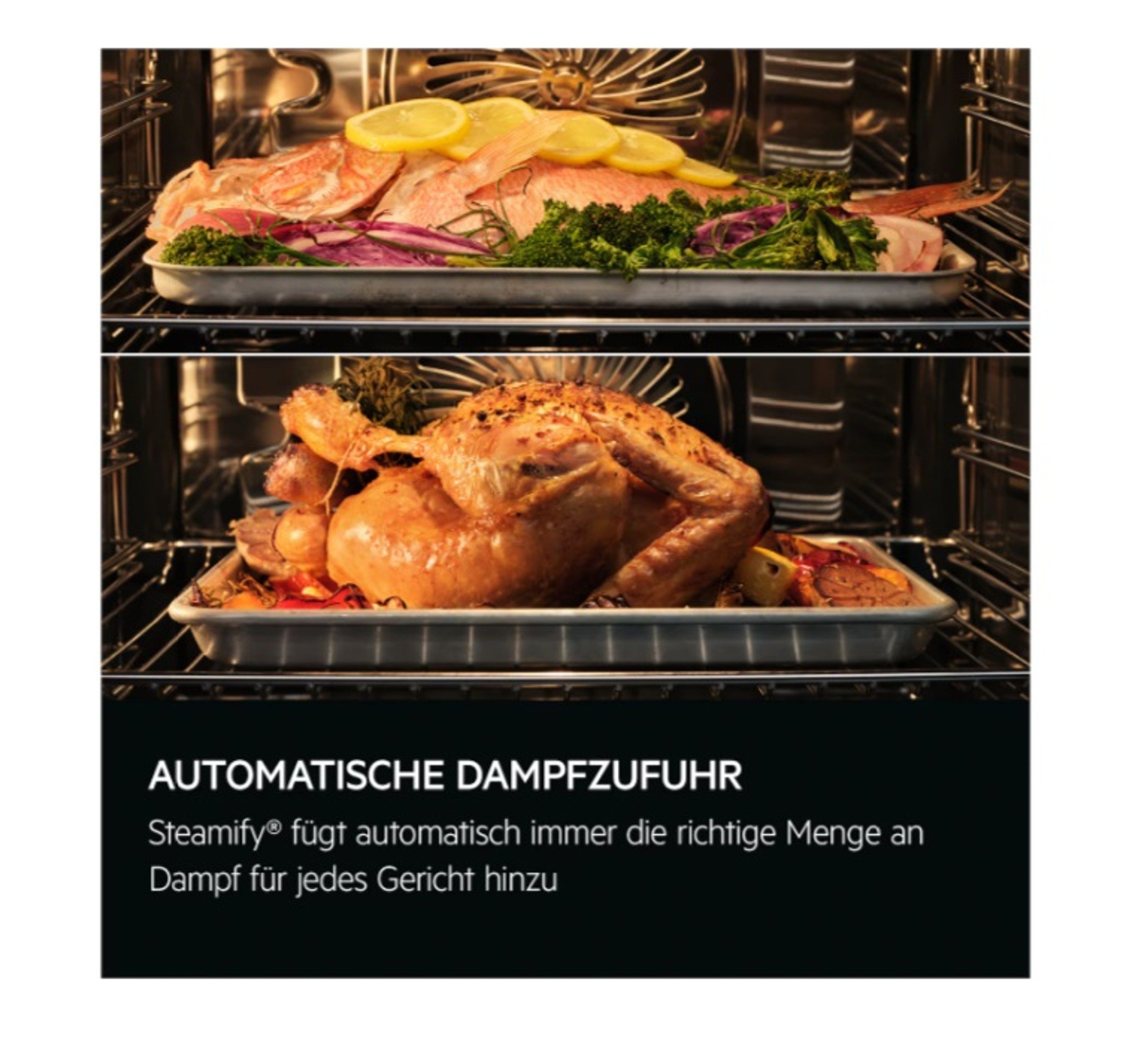 Einbaubackofen