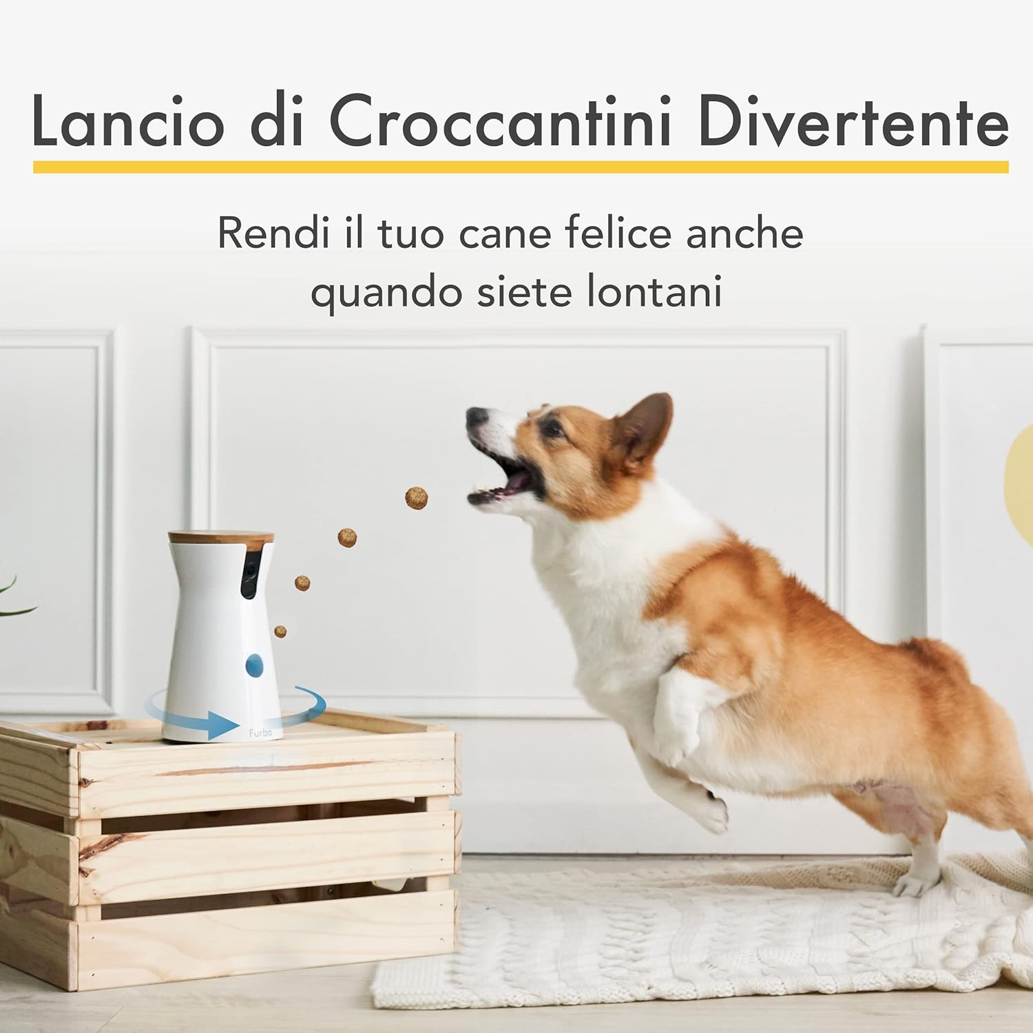 Furbo Videocamera 360° per Cani con Pacchetto Sicurezza Casa