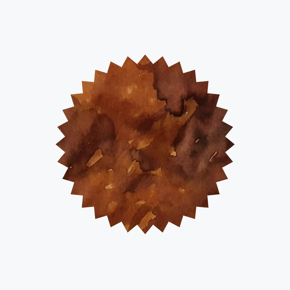 Robert Oster Aussie Brown Signature Ink