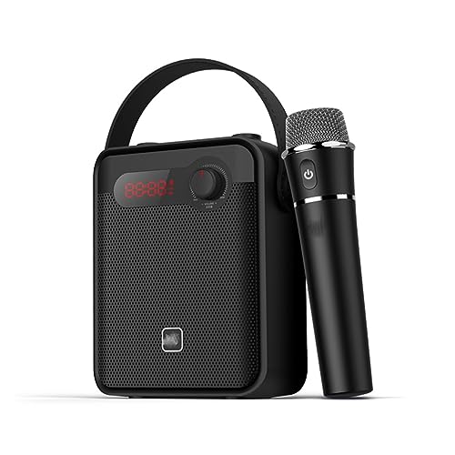 ROUZIHU Altoparlante H8 Amplificatore vocale Portatile Microfono Registrazione Audio Radio FM Altoparlante Scheda TF : Strumenti Musicali