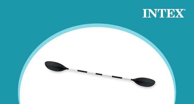intex remo 