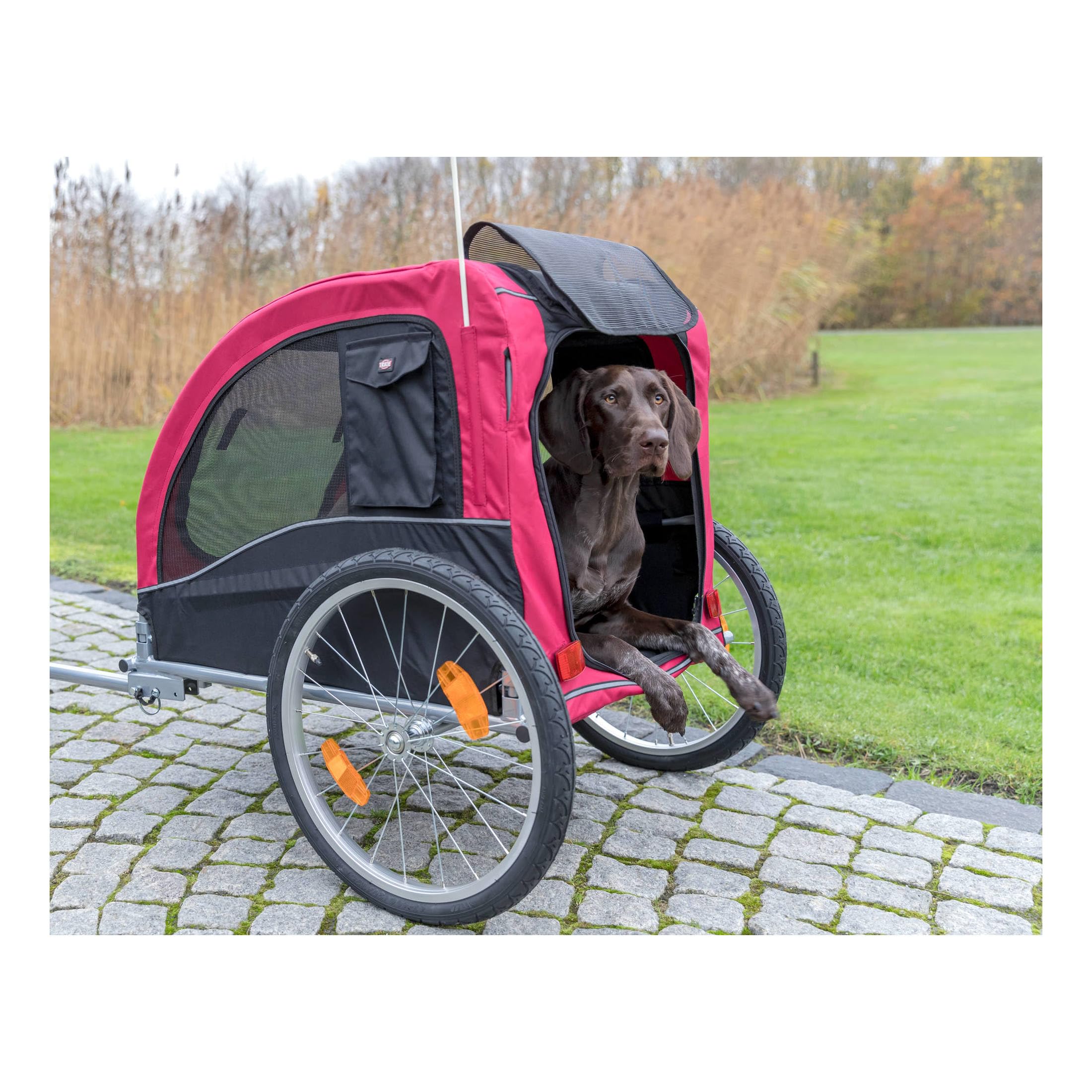 TRIXIE Fahrradanhänger für Hunde faltbar bis 30 kg 58 x 52 x 79 cm für kleine und mittelgroße Hunde
