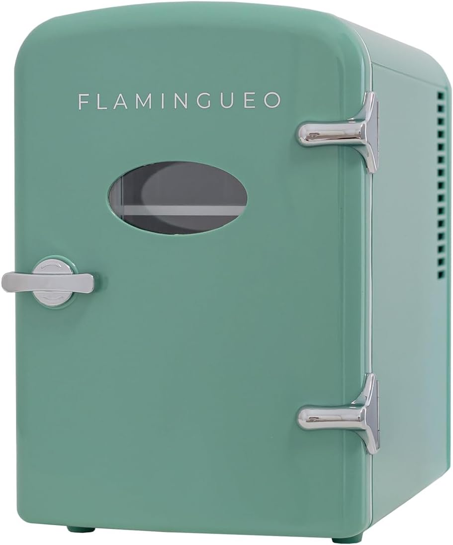 Flamingueo Small Refrigerator - Mini Fridge 4L, Fridge 12 V/220 V, Mini Chamber Refrigerator, Cooling and Heating, Small Office Fridge