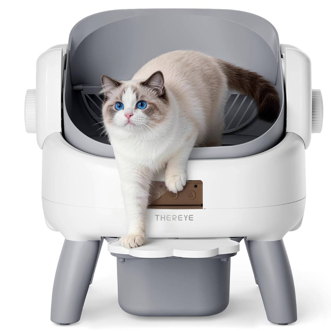 Selbstreinigende Katzentoilette offen mit Einstiegsstufe, App-Steuerung und 11-fachem Sicherheitssensor