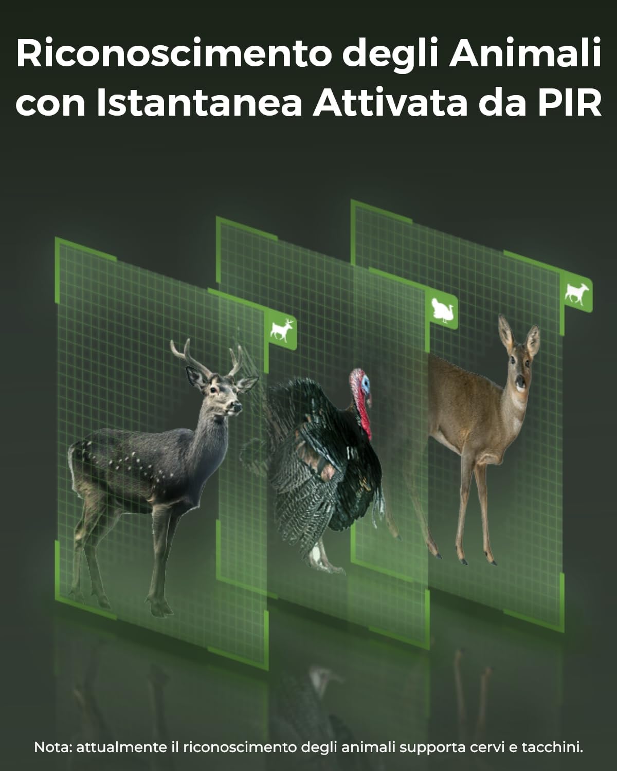 Reolink 4K Telecamera 4G Sim da Esterno Senza Fili con Batteria, 360° PTZ Fototrappola Infrarossi Invisibili, Audio a 2 Vie, Riconoscimento degli Animali, Accesso Remoto, Go Ranger PT+Pannello Solare