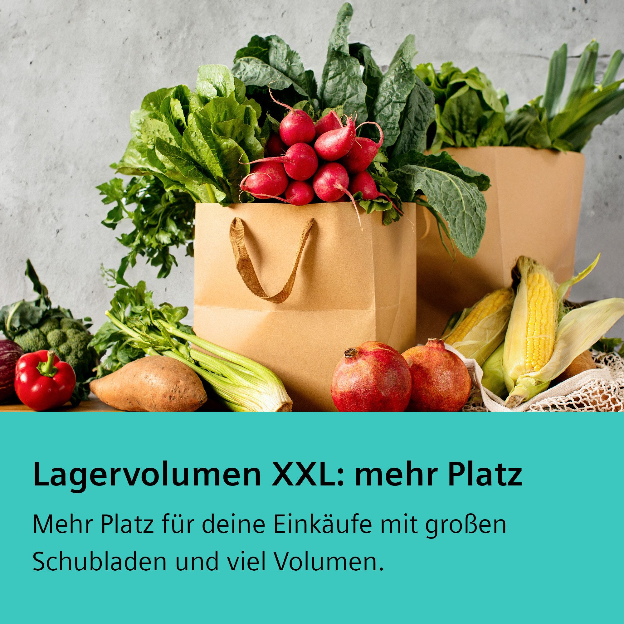 Einbaukühlgefrierkombination iQ100 KB96NNSE0
