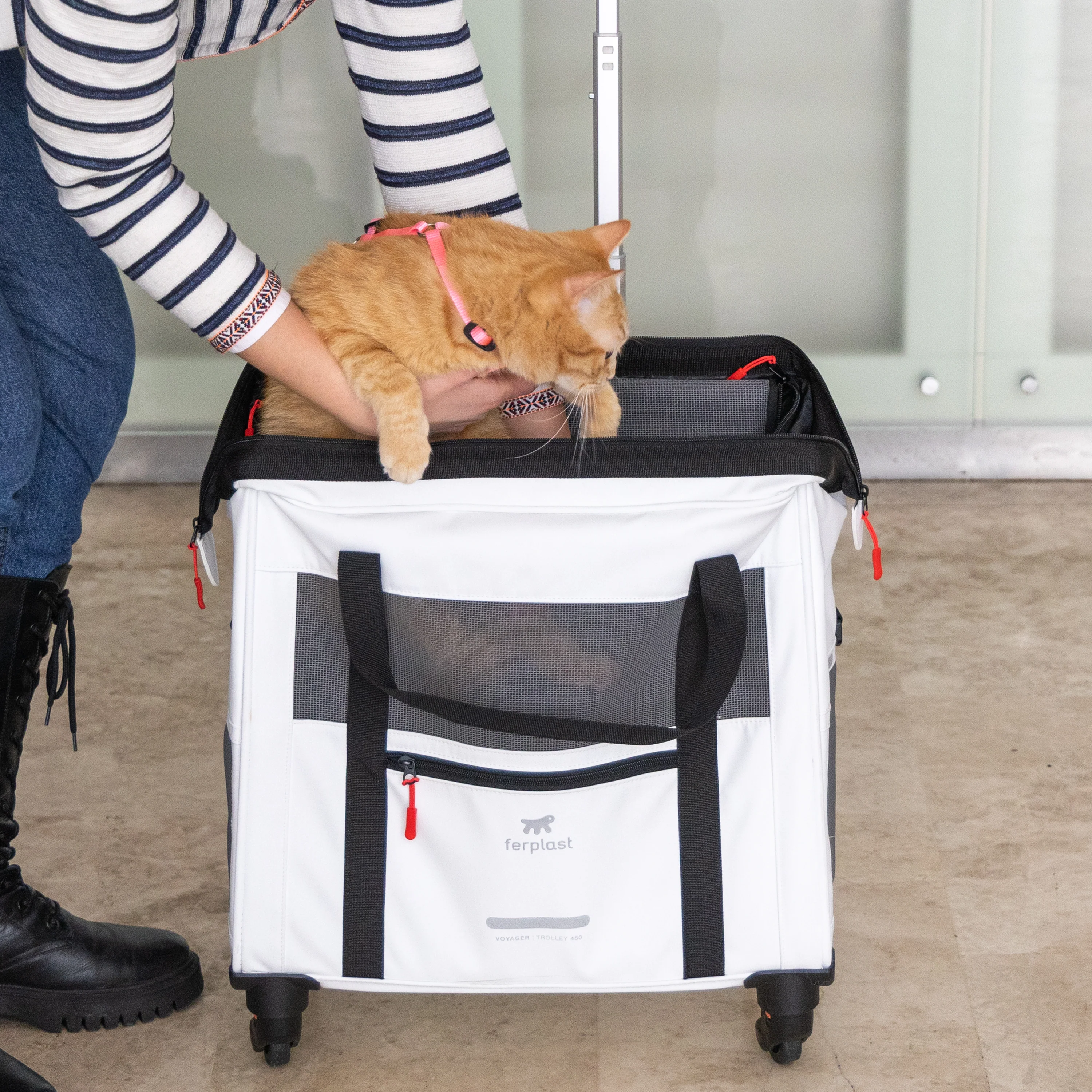 2025 Voyager Trolley di Ferplast – elegante e leggero trolley in similpelle per gatti e cani di piccola taglia fino a 15 kg. Con ruote, finestre in rete e cintura di sicurezza – perfetto per viaggi comodi.