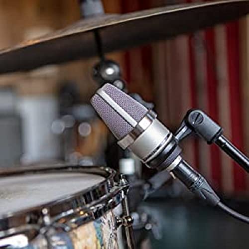 Neumann TLM 102 nickel : Strumenti Musicali