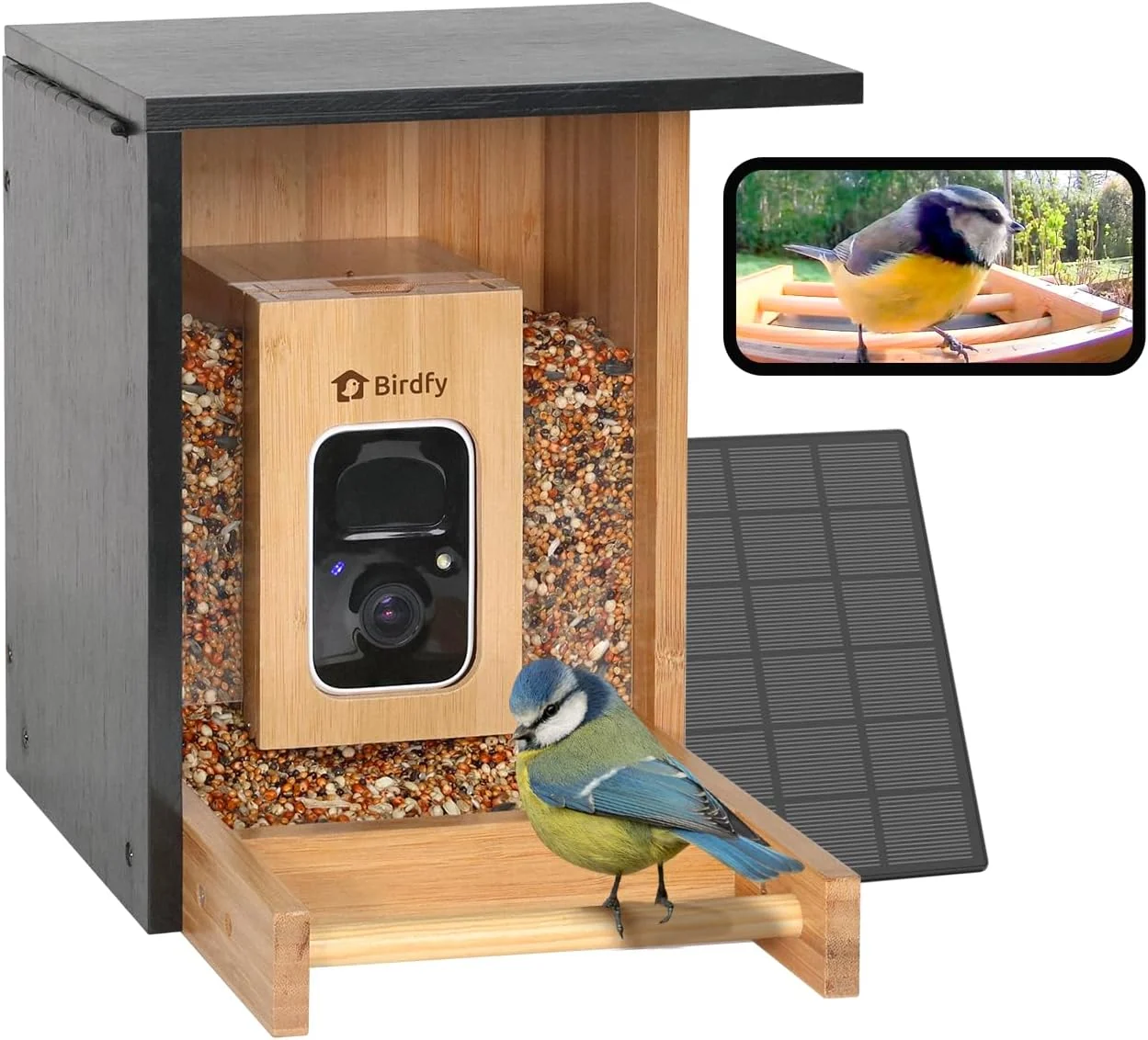 NETVUE Kamera, Schwarz/Holz, by Birdfy Bambus Mini Vogelfutterhaus mit für Live, Solarbetrieb Vogelfutterspender mit App