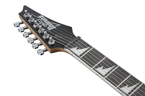 Ibanez Gio GRG220PA1 BKB Transparent Brown Black Burst   Chitarra elettrica : Strumenti Musicali