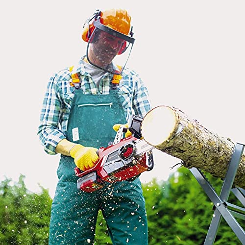 Einhell Elettrosega a Batteria GE LC 18/25 Li Power X Change, Ioni Litio, 18 V, 25 cm Lunghezza Barra, Lubrificazione Automatica della Catena, incl. 4 Ah Batteria e Caricabatteria : Amazon.it: Giardino e giardinaggio