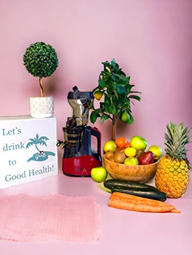 Guirla Premier Cold Press Juicer (Red Wine): Home & Kitchen