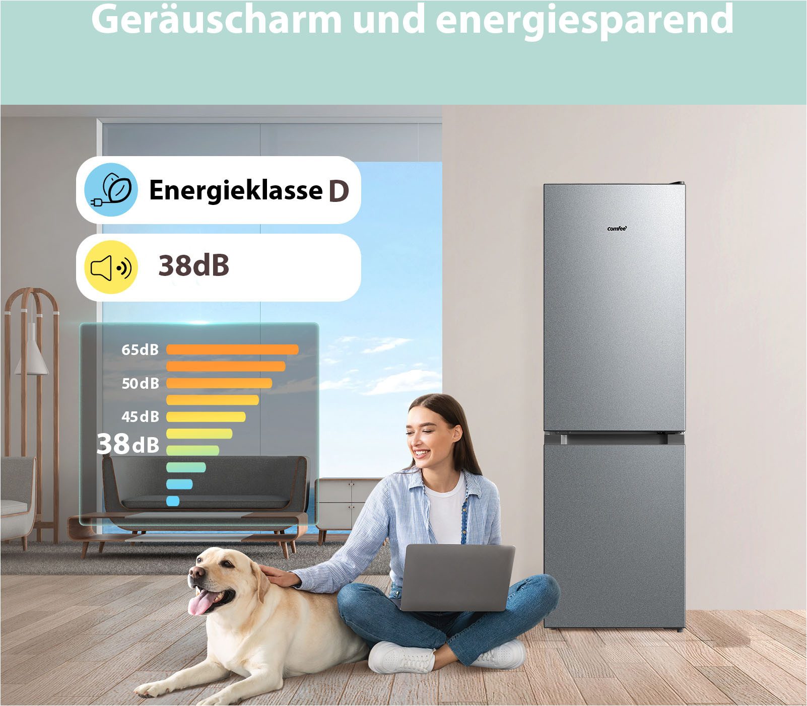 Kühl-/Gefrierkombination RCB169DS3