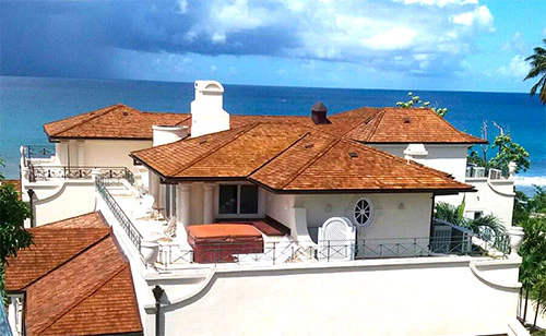 Armstrong-Clark Shake Shield Semi-Transparent