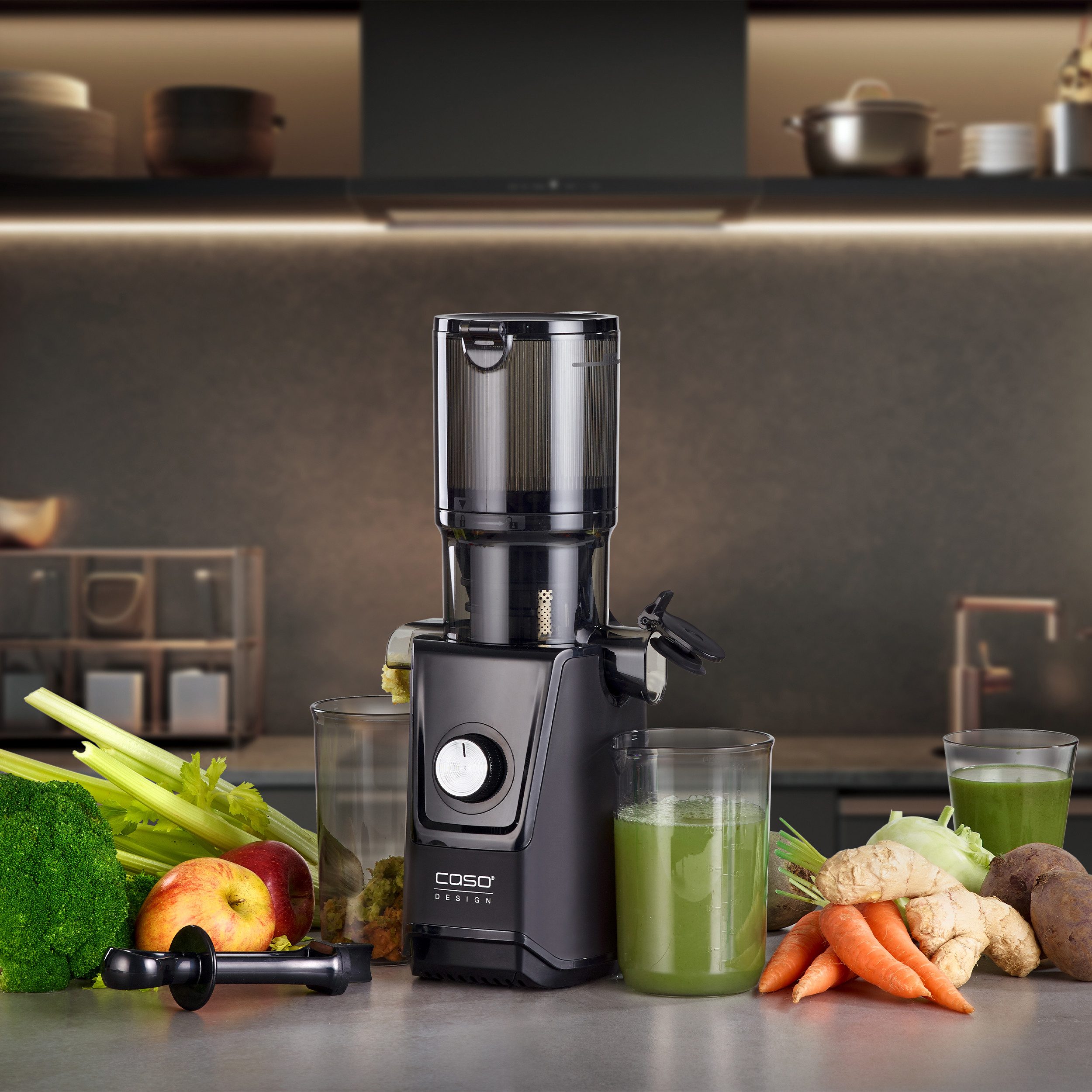 Slow Juicer 3512 CASO Juice Fit