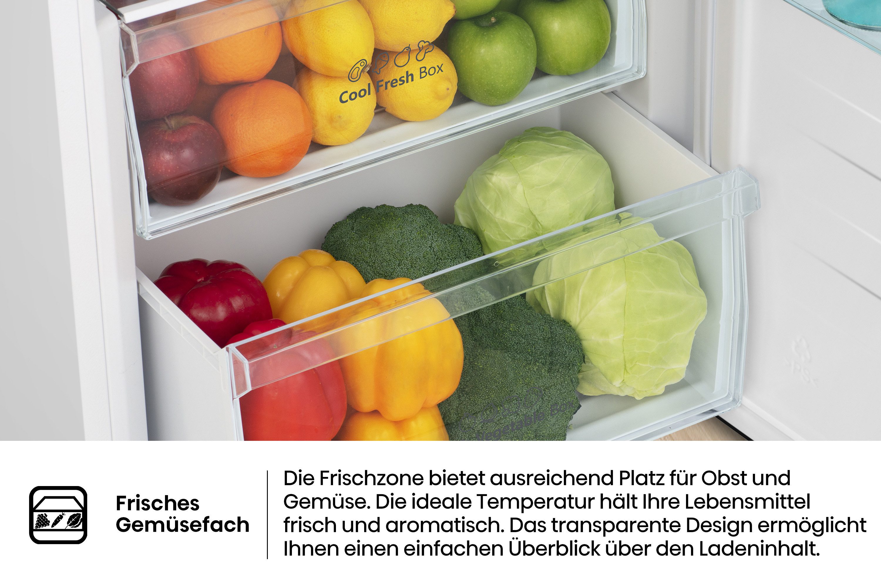 Kühlschrank RL415N4AWC