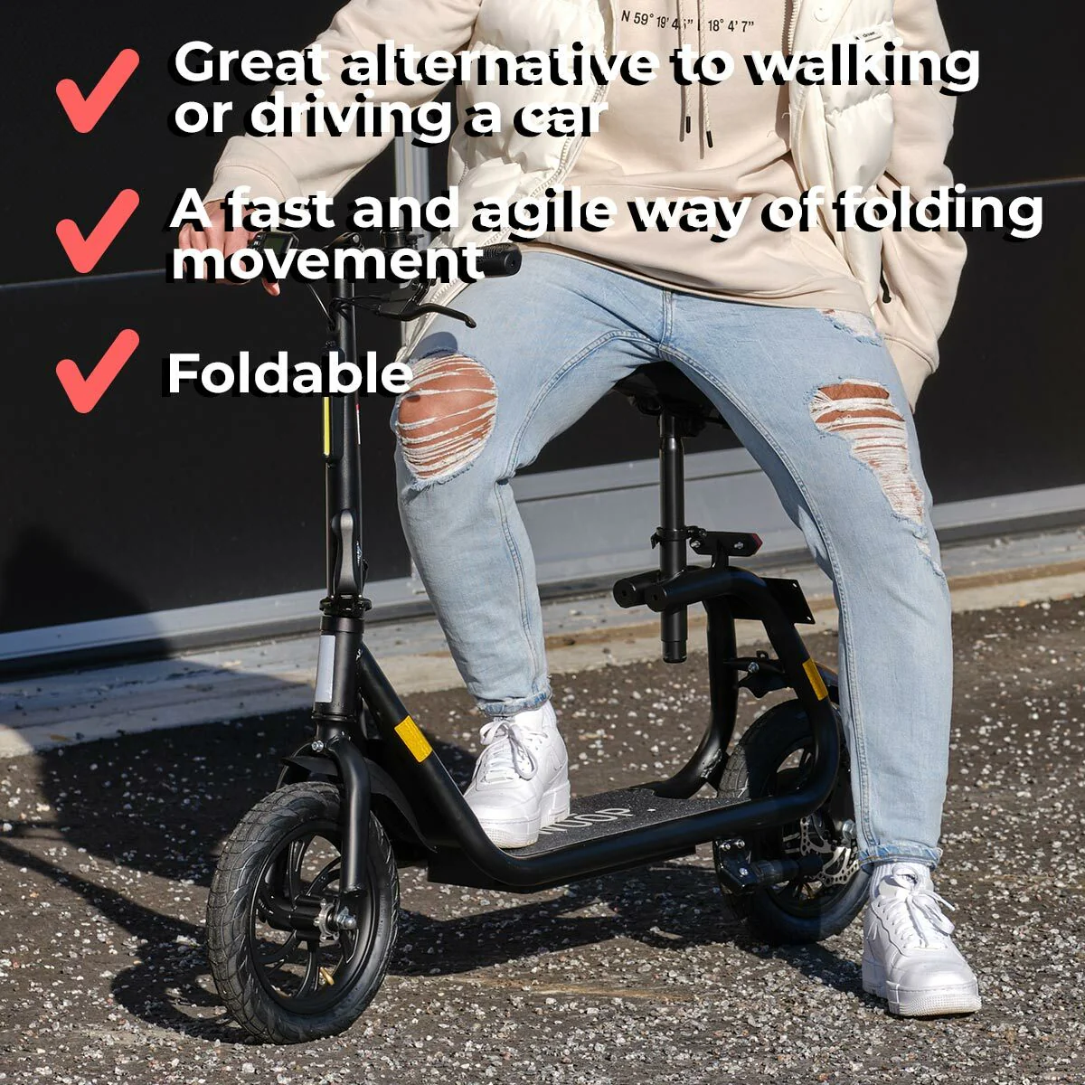 Swoop E-Scooter ES800