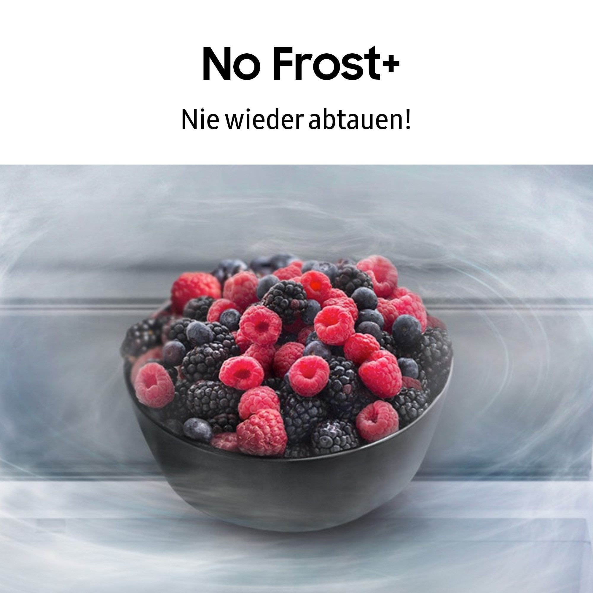 Einbaukühlgefrierkombination BRB6000 BRB70F26DEF0