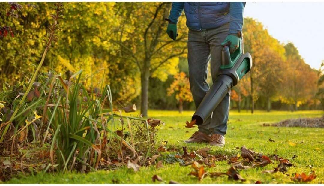 Bosch Accu-bladblazer AdvancedLeafBlower 36V-750 (1x 2,0 Ah accu, 36 volt systeem, voor het verwijderen van hardnekkige bladeren op grote oppervlakken, laag gewicht: 2,8 kg, in doos)