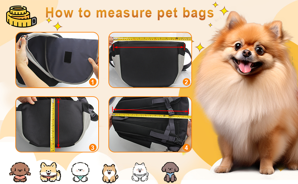 Diagramma didattico che mostra come misurare i sacchetti da trasporto per animali domestici, con quattro passaggi illustrati. Un cane della Pomerania sorridente è raffigurato