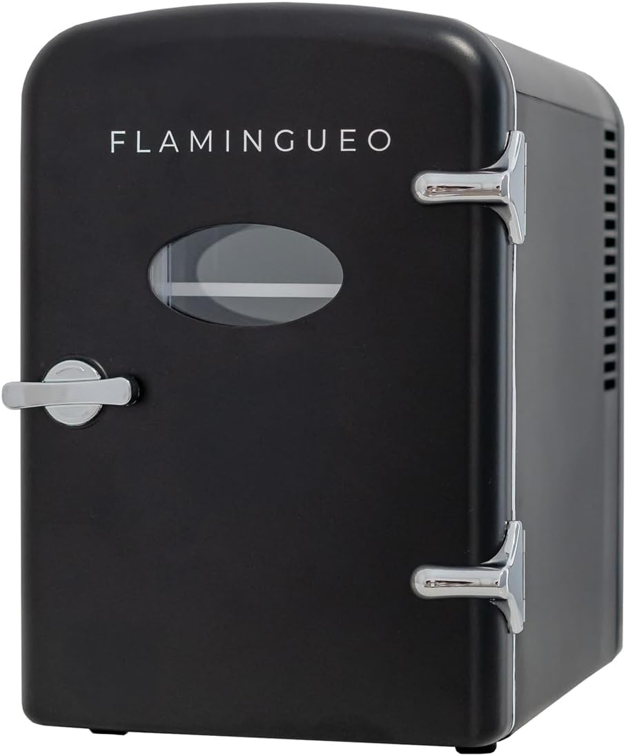 Flamingueo Small Refrigerator - Mini Fridge 4L, Fridge 12 V/220 V, Mini Chamber Refrigerator, Cooling and Heating, Small Office Fridge