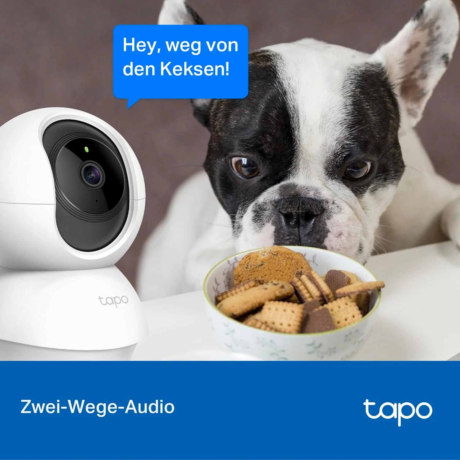 Tapo TP-Link C200 360°-WLAN-Überwachungskamera für den Innenbereich, FHD 1080P, Nachtsicht, Bewegungserkennung, Zwei-Wege-Audio, kompatibel mit Alexa und Google Assistant, für Babys/Haustiere