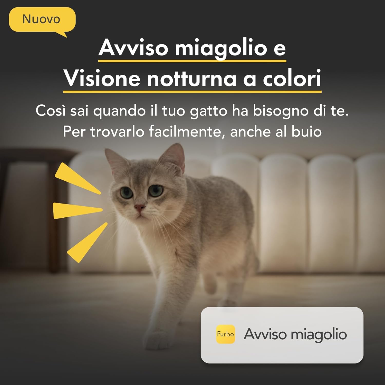 Furbo Videocamera 360° per Cani con Pacchetto Sicurezza Casa