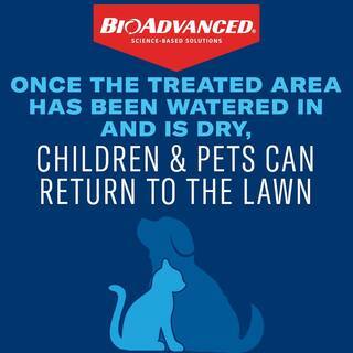 BioAdvanced Grub Killer Plus Granules 24 Hour Lawn Pest Control, 10 lb