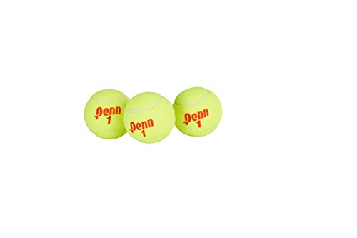 Penn Championship Tennis Feltro pressurizzato