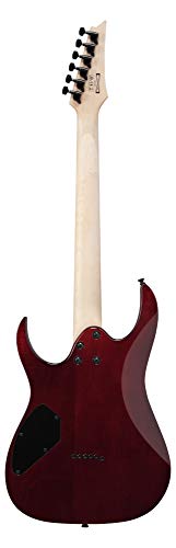 Ibanez GRGR221PA AQB   Chitarra elettrica Aqua Burst : Strumenti Musicali