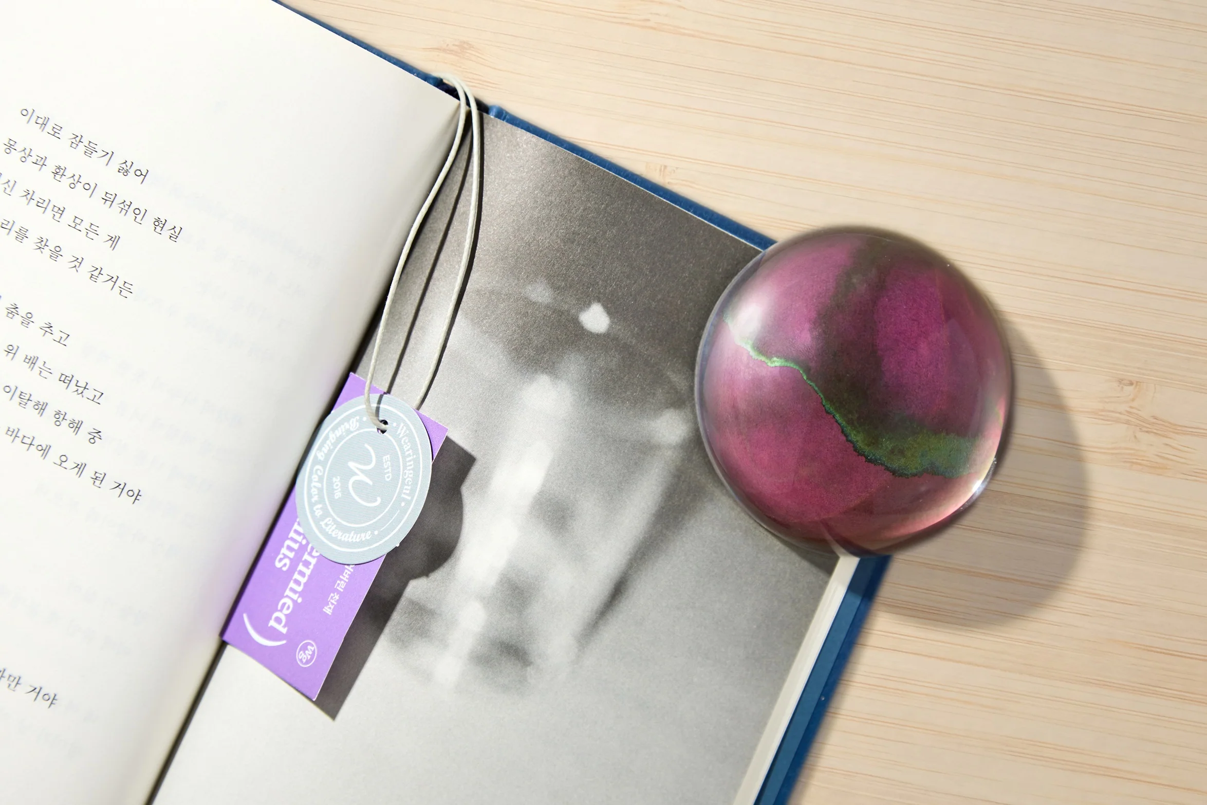 Wearingeul Crystal Ink Paper Weight - A TAXIDERMIED GENIUS