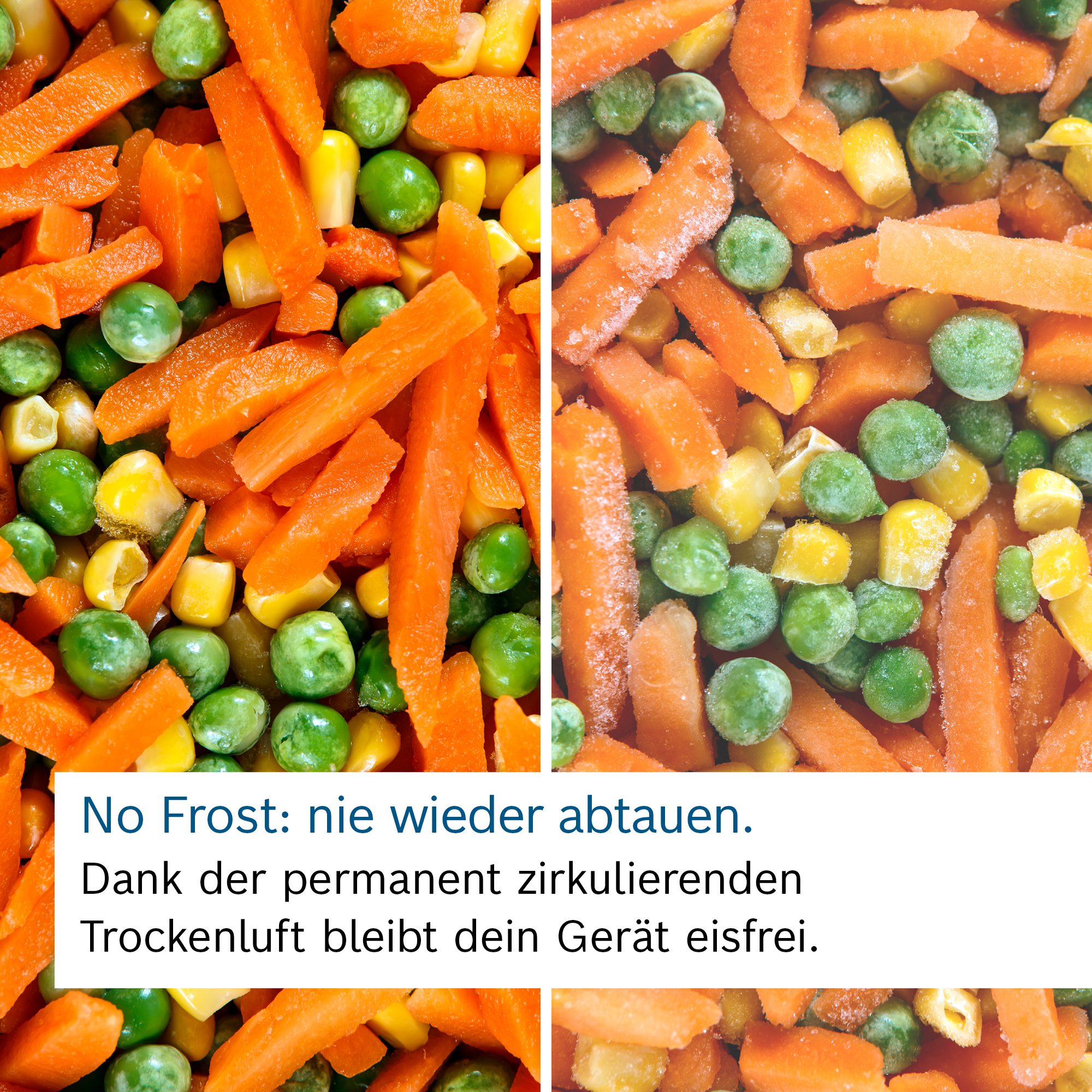 Einbaukühlgefrierkombination Serie 2 KIN86NSE0