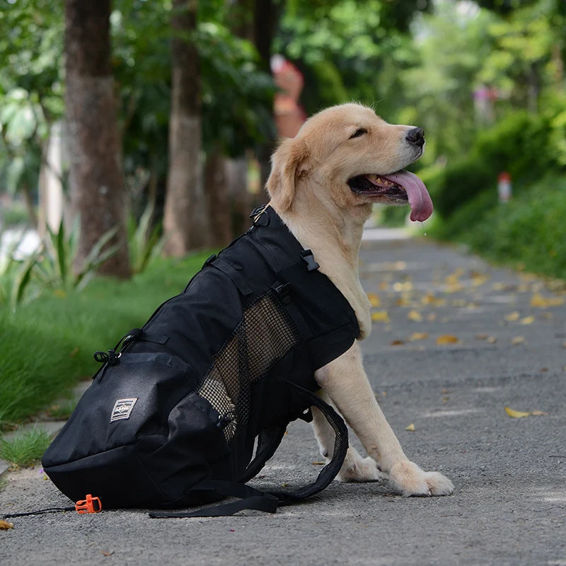 Dog Backpack Carrier �C Ergonomic & Breathable with Built-In Safety Harness
